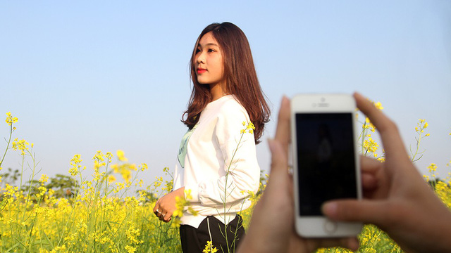 Giới trẻ thủ đô đua nhau đi ngắm cải vàng đầu đông